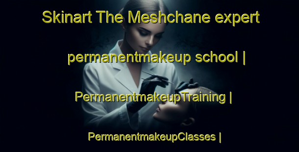 Skinart The Meshchane expert permanentmakeup school | PermanentmakeupTraining | PermanentmakeupClasses | SkinartTraining-Russian Federation